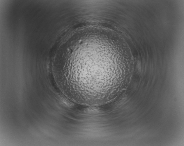 X0000070210668200606021257