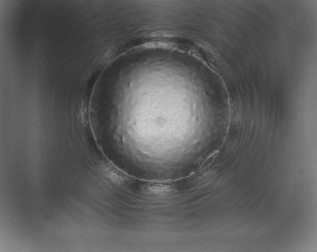 X0000070210669200606021257