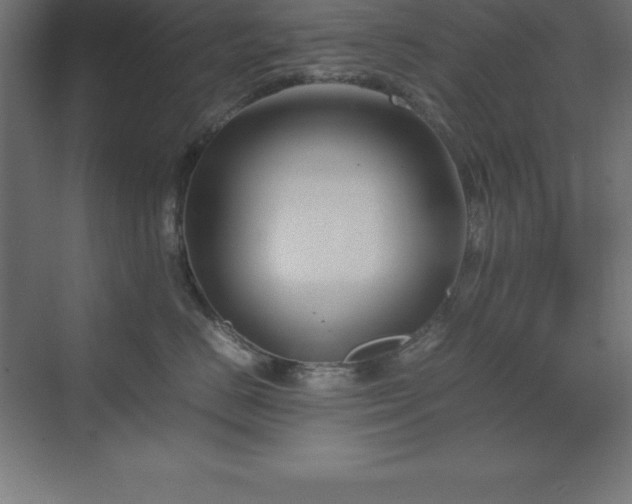 X0000070210670200606021257