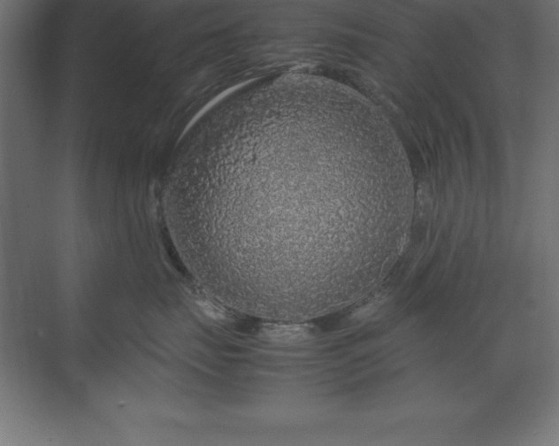 X0000070210671200606021257