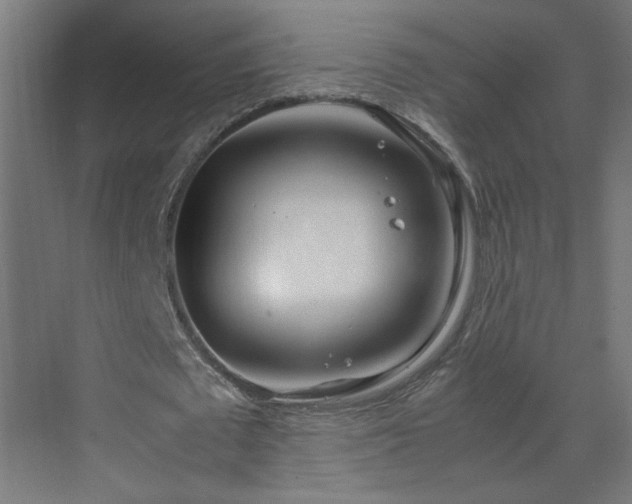 X0000070210673200606021256