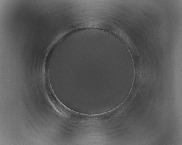 X0000070210674200606021256