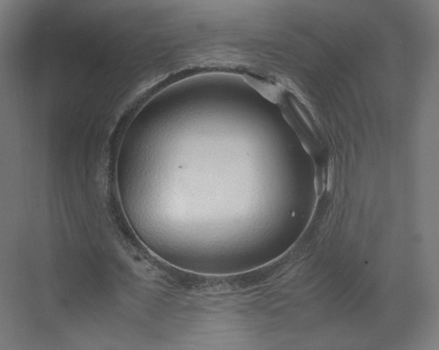 X0000070210675200606021256