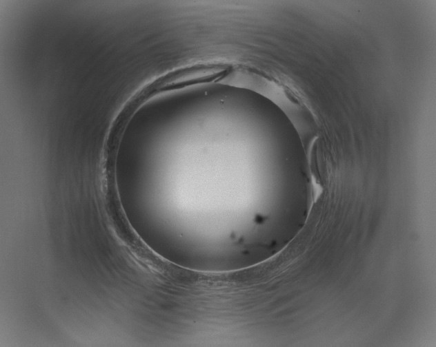 X0000070210676200606021256