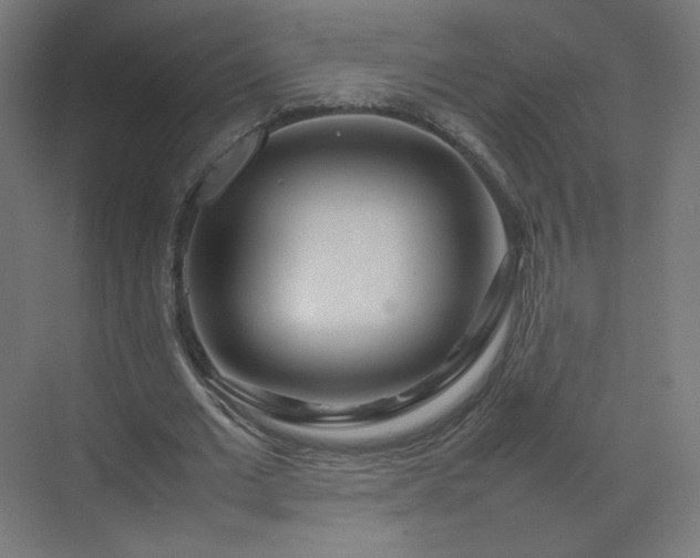 X0000070210677200606021256