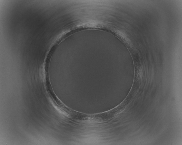 X0000070210678200606021256