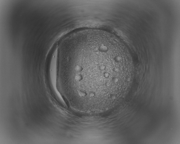 X0000070210679200606021256