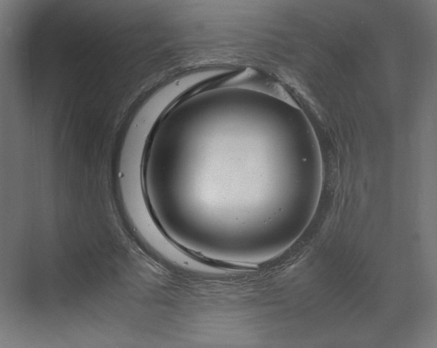 X0000070210681200606021256