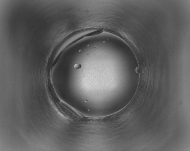 X0000070210682200606021256