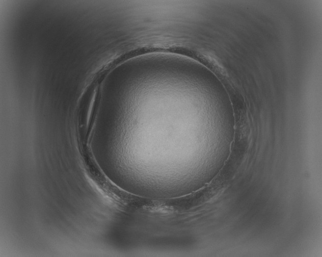 X0000070210683200606021256