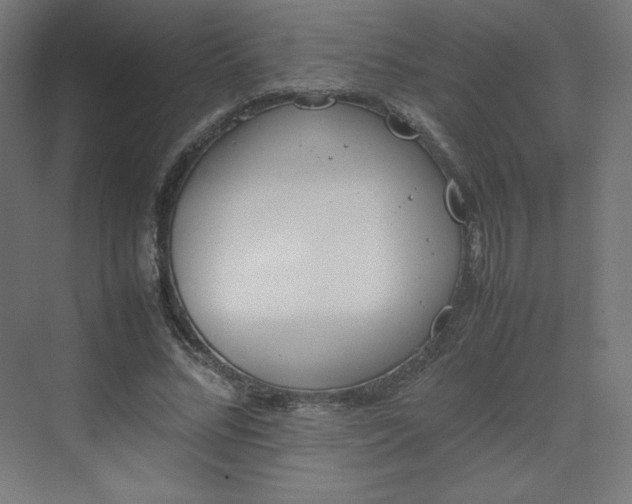 X0000070210684200606021256