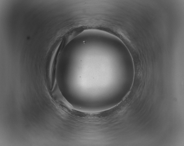 X0000070210685200606021256