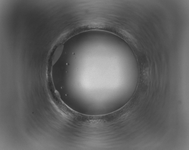 X0000070210686200606021256