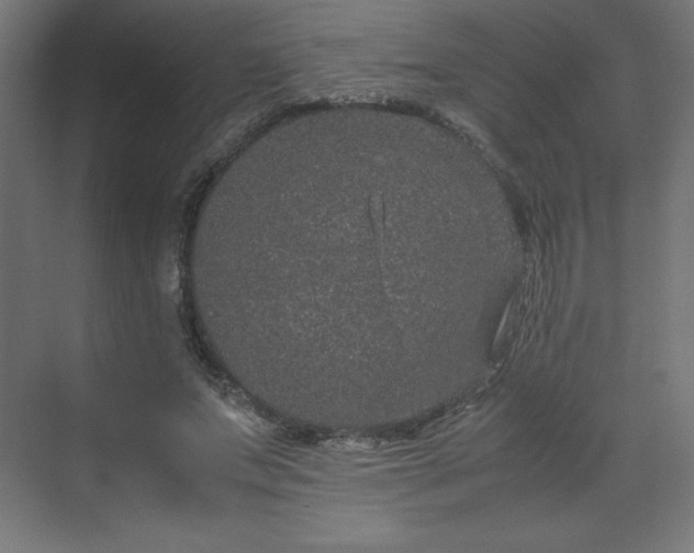 X0000070210687200606021256