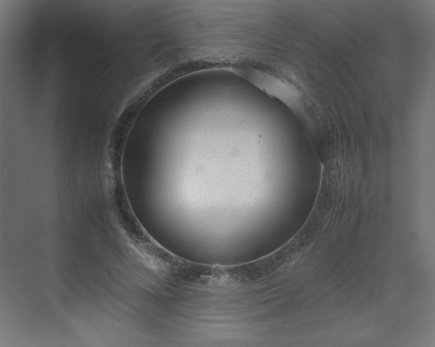 X0000070210688200606021256