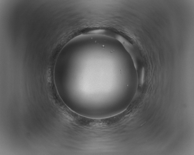 X0000070210689200606021255