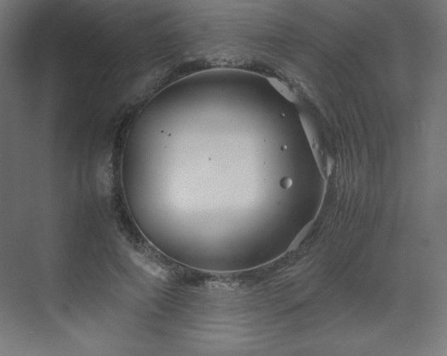 X0000070210690200606021255