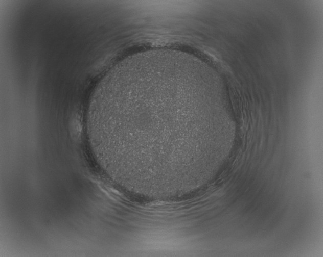 X0000070210691200606021255