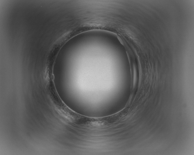 X0000070210692200606021255