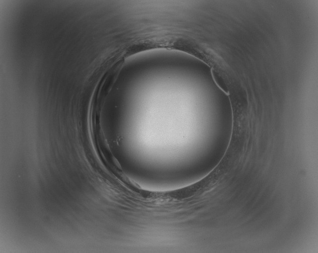 X0000070210693200606021255