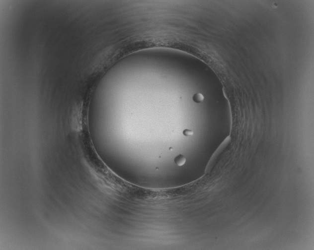 X0000070210694200606021255