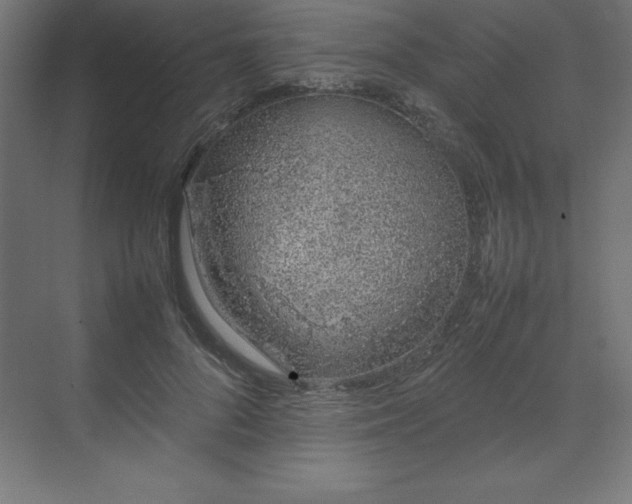 X0000070210696200606021255