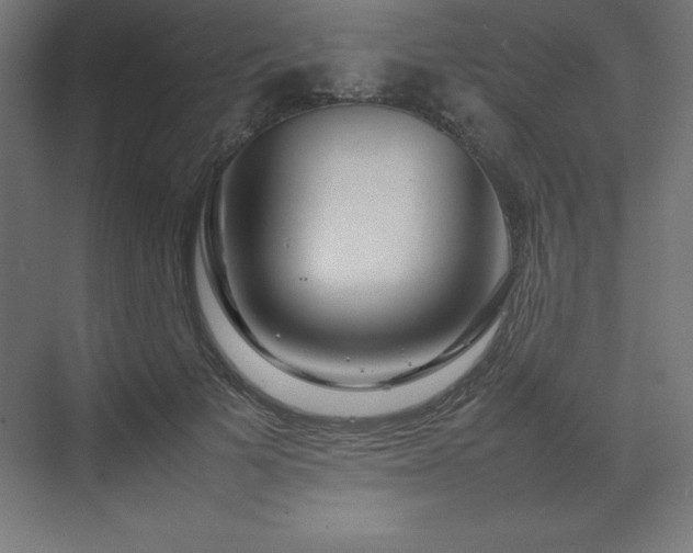 X0000070210697200606021255