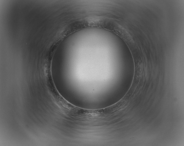 X0000070210698200606021255