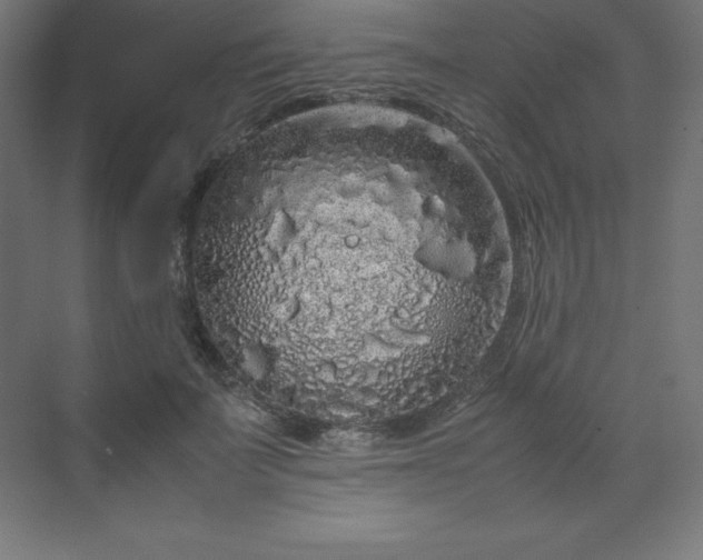 X0000070210699200606021255