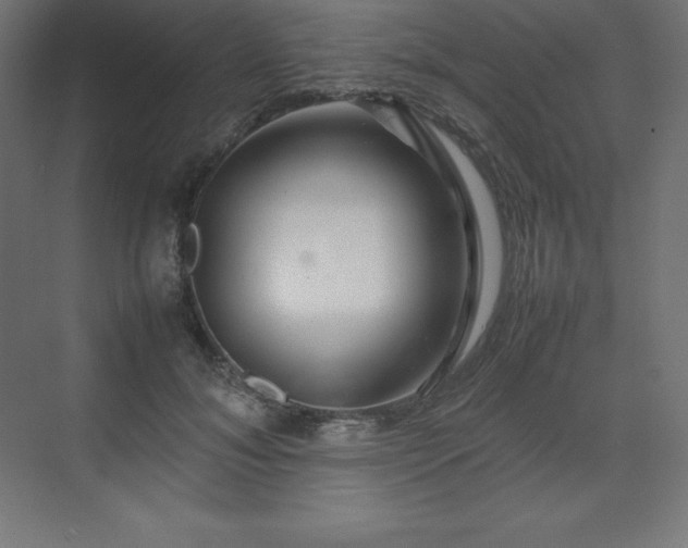 X0000070210700200606021255