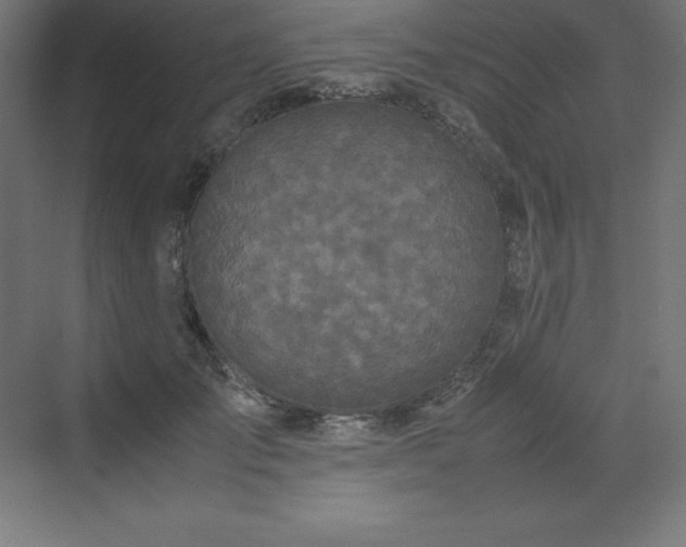 X0000070210701200606021255