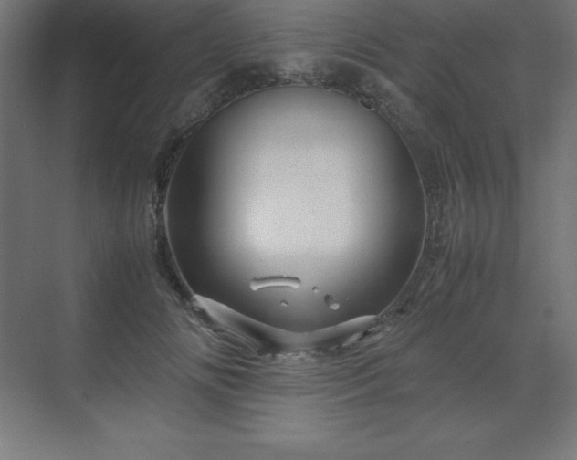 X0000070210702200606021255