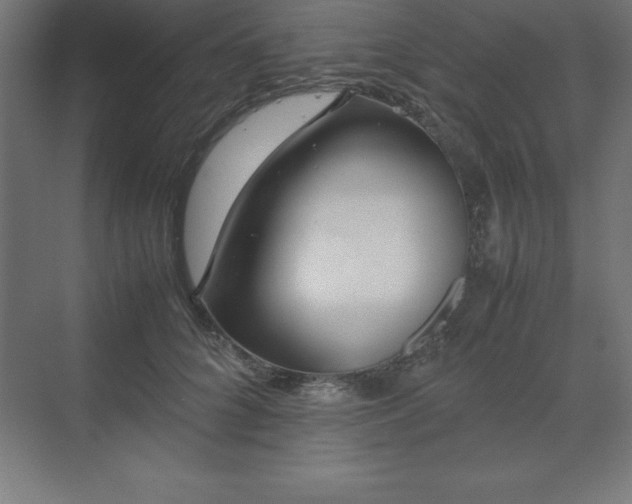 X0000070210704200606021255