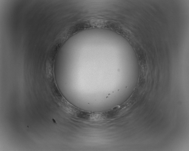 X0000070210705200606021255