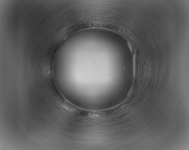 X0000070210706200606021255