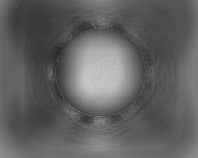 X0000070210709200606021255