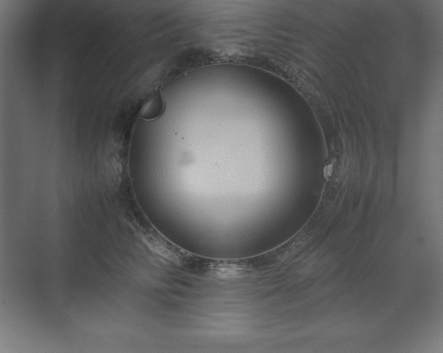 X0000070210710200606021255