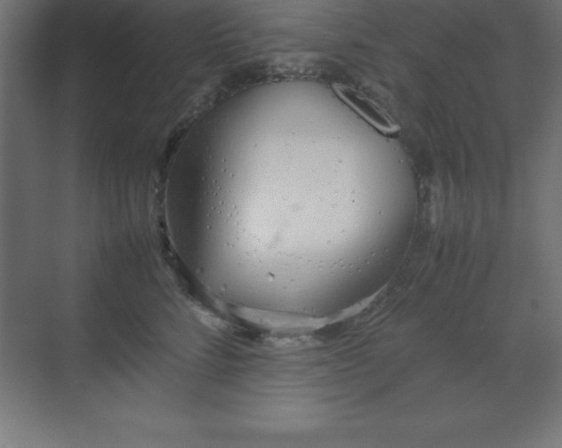 X0000070210712200606021255