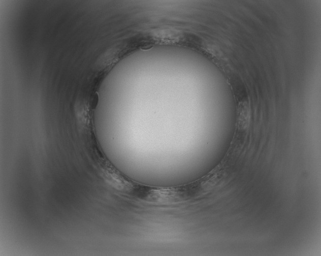 X0000070210713200606021255