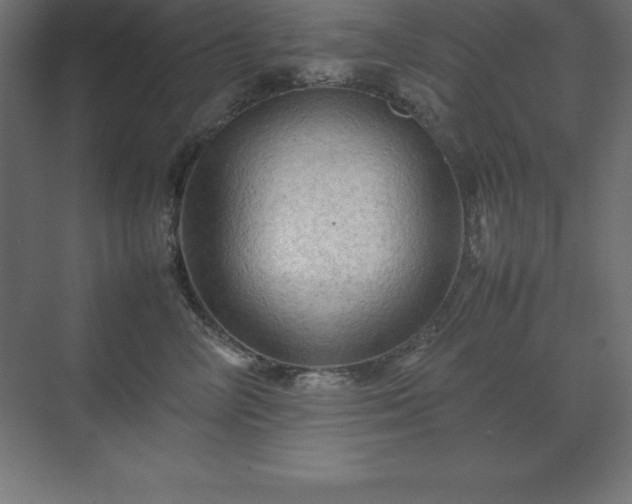 X0000070210714200606021255