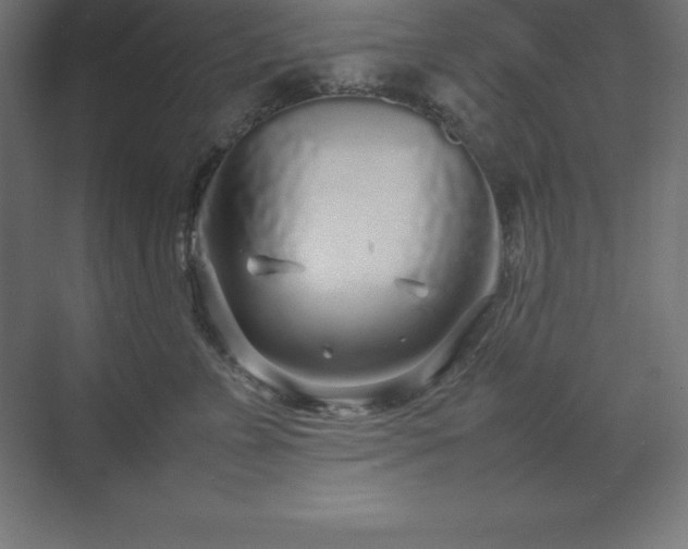 X0000070210715200606021255