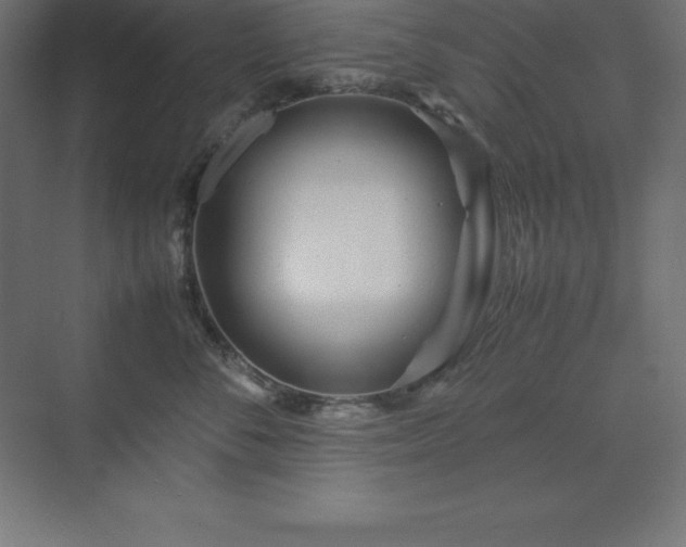 X0000070210716200606021255