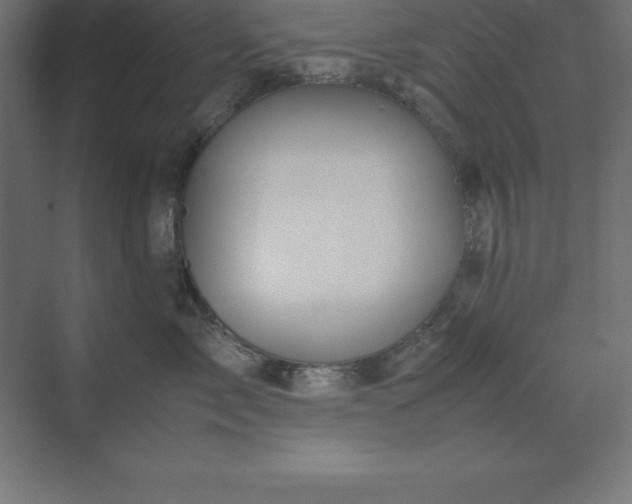 X0000070210717200606021255