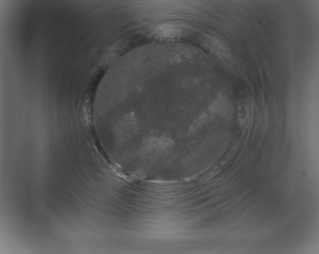 X0000070210718200606021255