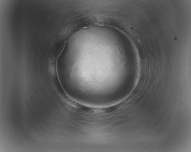 X0000070210719200606021255