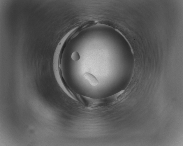 X0000070210720200606021255