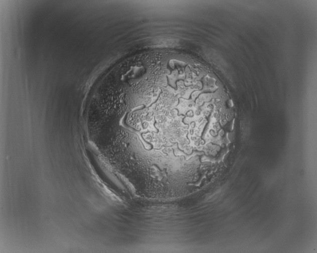 X0000070210721200606021254