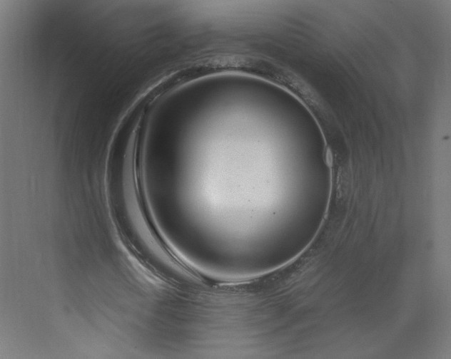 X0000070210722200606021254