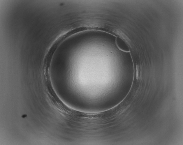 X0000070210723200606021254