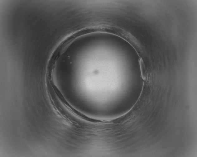 X0000070210724200606021254